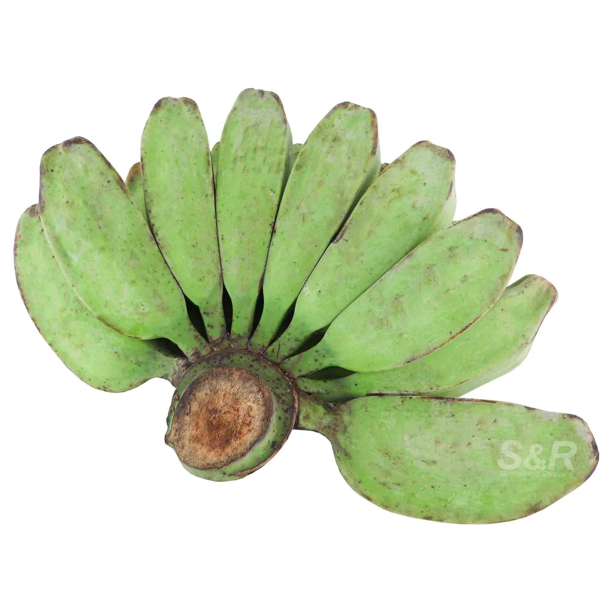 S&R Saba Banana approx. 2.8kg